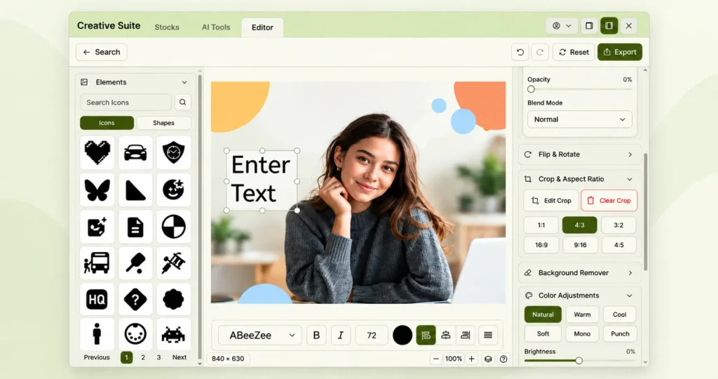 Pixey AI Creative Suite white-label image editor with image editing tools, text controls, and background removal features